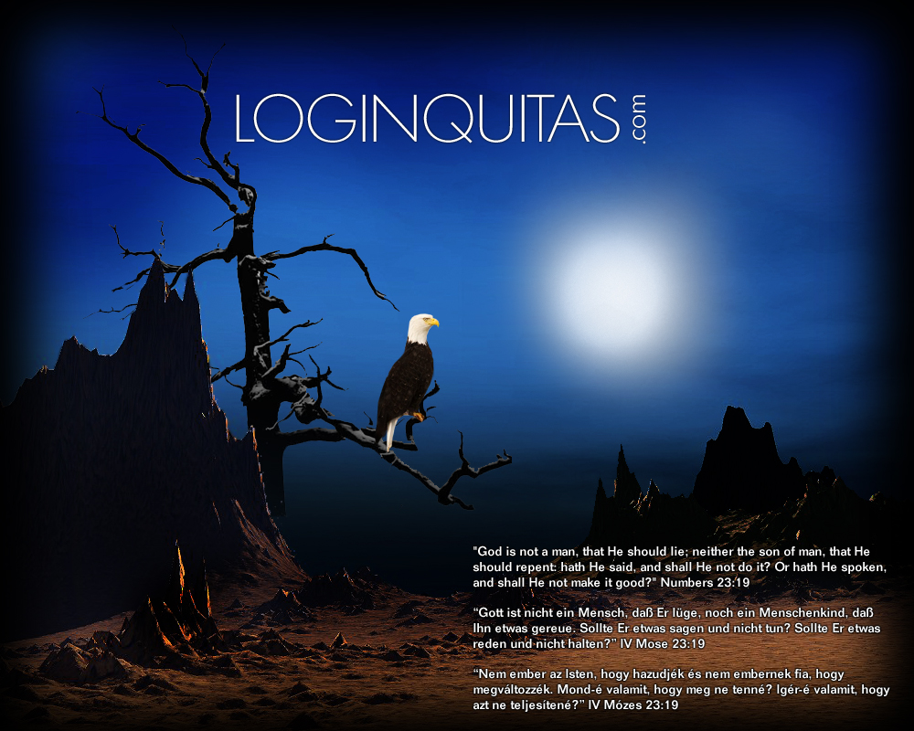 Loginquitas